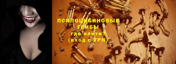 прущие грибы Сафоново