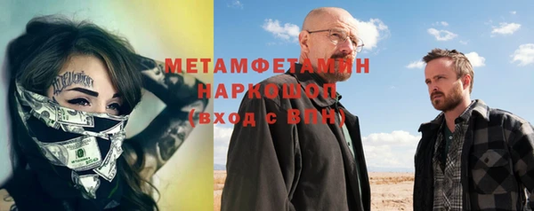шишки Сатка