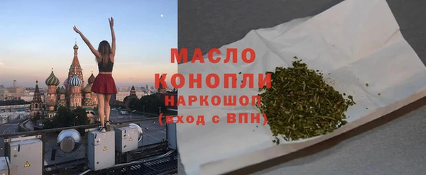 шишки Сатка