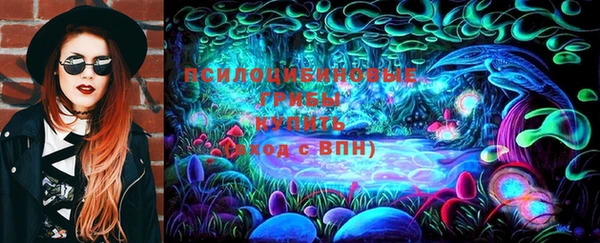 прущие грибы Сафоново