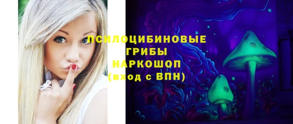 шишки Сатка