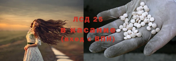 сатива Оленегорск