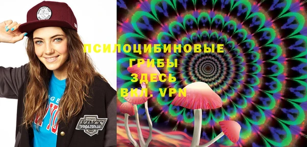 шишки Сатка