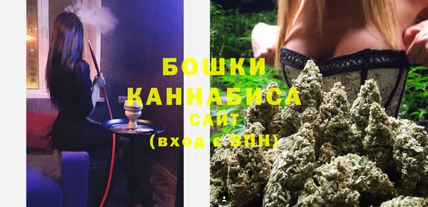 шишки Сатка