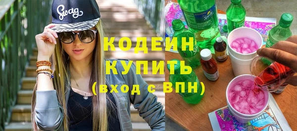 шишки Сатка