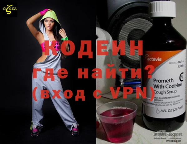 шишки Сатка