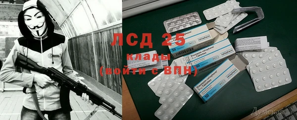 прущие грибы Сафоново