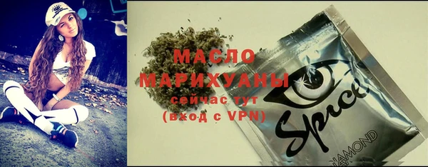шишки Сатка