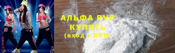 шишки Сатка