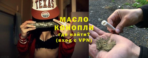 шишки Сатка