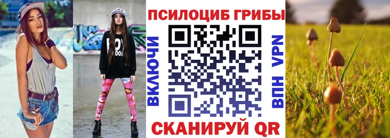 Галлюциногенные грибы MAGIC MUSHROOMS  где купить наркотик  Спас-Клепики 